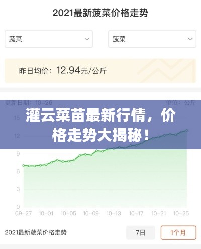 灌云菜苗最新行情,价格走势大揭秘!