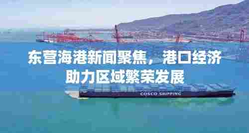 东营海港新闻聚焦，港口经济助力区域繁荣发展