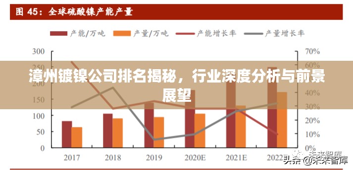 漳州镀镍公司排名揭秘，行业深度分析与前景展望