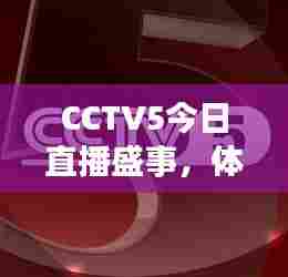 CCTV5今日直播盛事,体育迷狂欢之夜