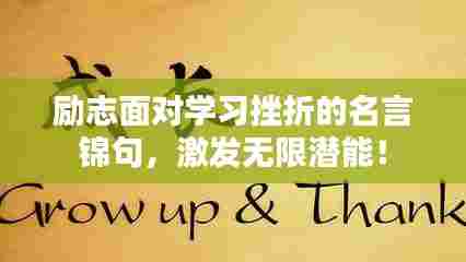 励志面对学习挫折的名言锦句，激发无限潜能！