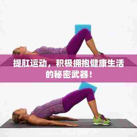 提肛运动，积极拥抱健康生活的秘密武器！