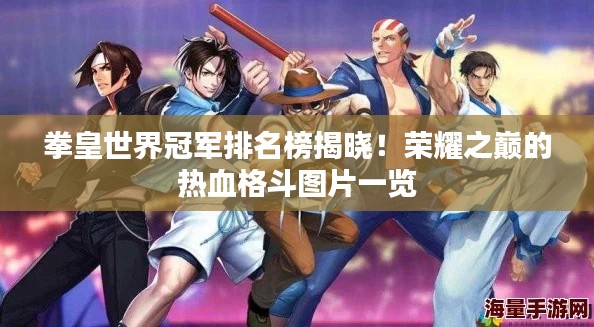 拳皇世界冠军排名榜揭晓！荣耀之巅的热血格斗图片一览