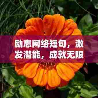 励志网络短句，激发潜能，成就无限可能！