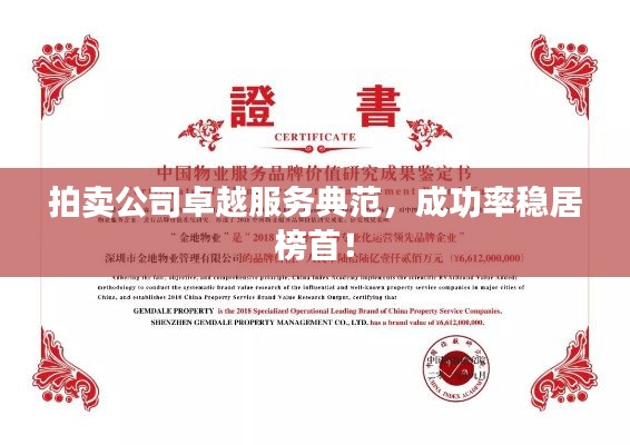 拍卖公司卓越服务典范，成功率稳居榜首！