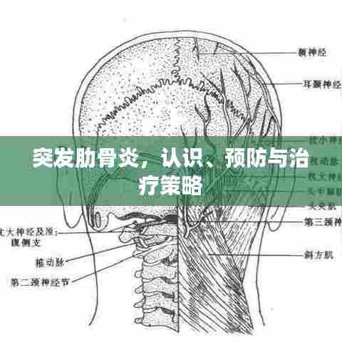 突发肋骨炎，认识、预防与治疗策略