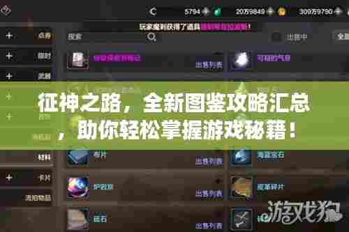 征神之路，全新图鉴攻略汇总，助你轻松掌握游戏秘籍！
