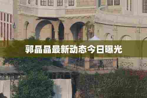 郭晶晶最新动态今日曝光