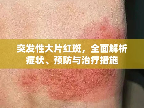 量入为出 第5页