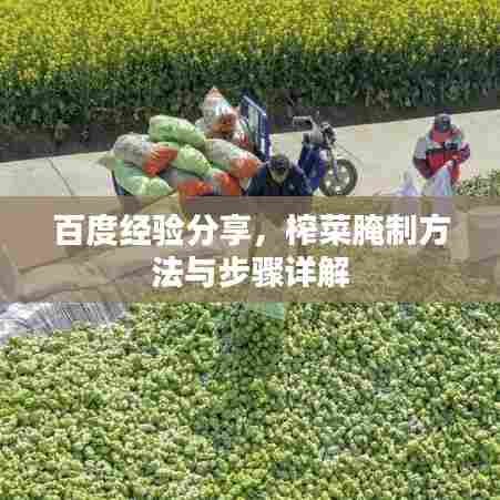 百度经验分享,榨菜腌制方法与步骤详解