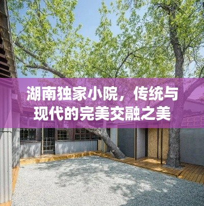湖南独家小院，传统与现代的完美交融之美