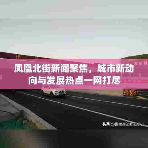 凤凰北街新闻聚焦，城市新动向与发展热点一网打尽