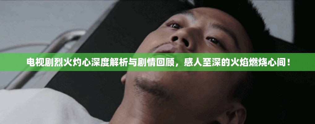 电视剧烈火灼心深度解析与剧情回顾,感人至深的火焰燃烧心间!