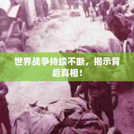 世界战争持续不断，揭示背后真相！