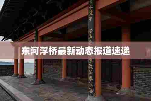东河浮桥最新动态报道速递