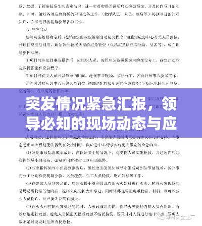 突发情况紧急汇报，领导必知的现场动态与应对策略