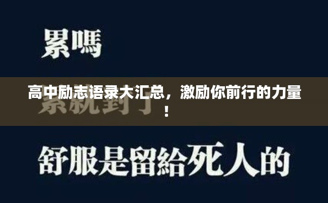 高中励志语录大汇总,激励你前行的力量!