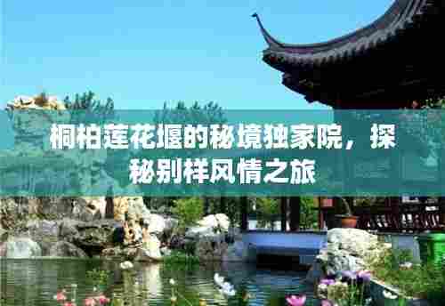 桐柏莲花堰的秘境独家院，探秘别样风情之旅