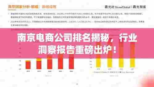 南京电商公司排名揭秘,行业洞察报告重磅出炉!