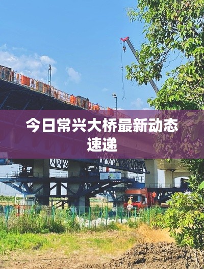 今日常兴大桥最新动态速递
