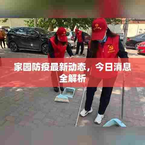 家园防疫最新动态，今日消息全解析