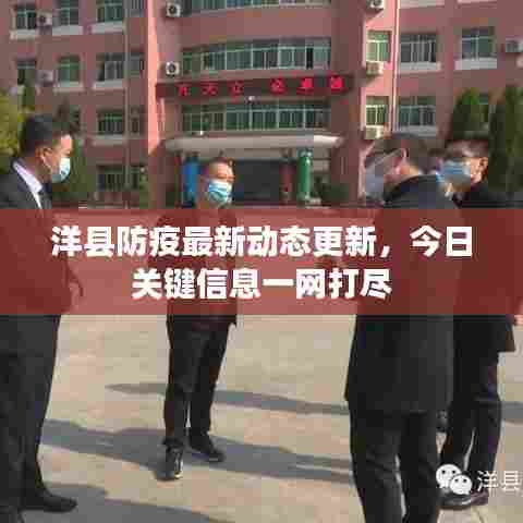 洋县防疫最新动态更新,今日关键信息一网打尽