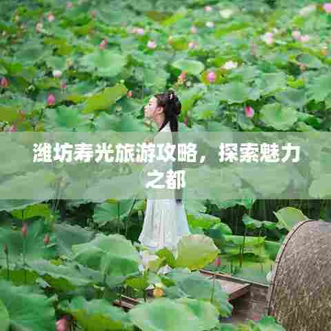 潍坊寿光旅游攻略,探索魅力之都