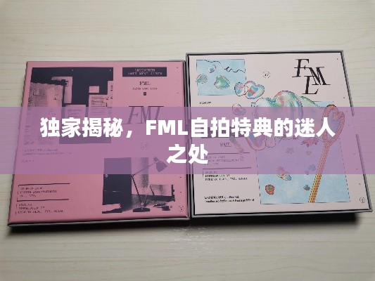 独家揭秘，FML自拍特典的迷人之处