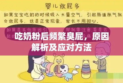 吃奶粉后频繁臭屁,原因解析及应对方法