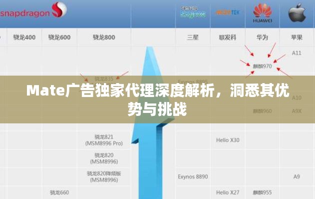 Mate广告独家代理深度解析，洞悉其优势与挑战