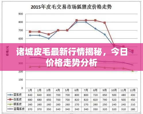 诸城皮毛最新行情揭秘，今日价格走势分析