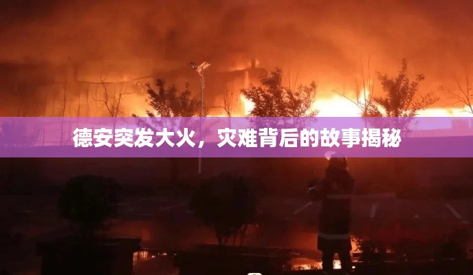 德安突发大火，灾难背后的故事揭秘