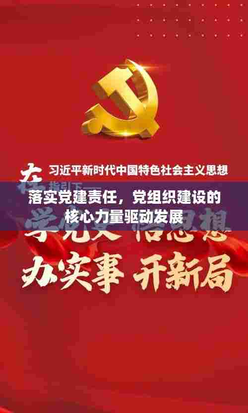 落实党建责任，党组织建设的核心力量驱动发展