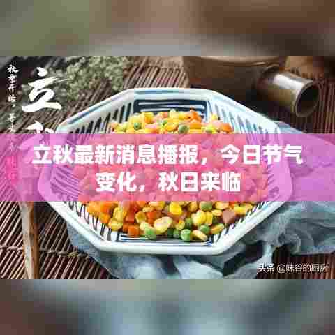 立秋最新消息播报，今日节气变化，秋日来临