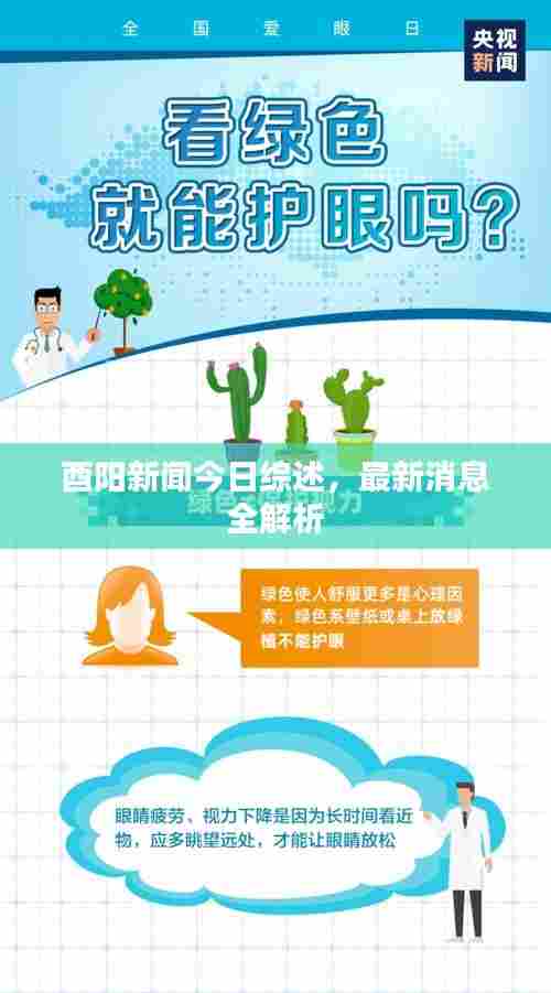 酉阳新闻今日综述，最新消息全解析