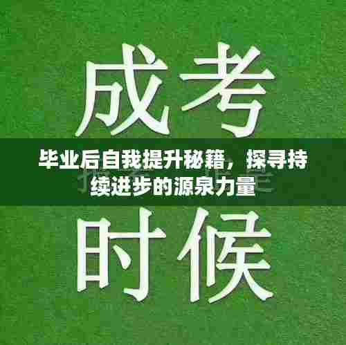 毕业后自我提升秘籍,探寻持续进步的源泉力量