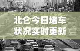 高不成低不就 第5页