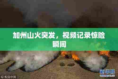 加州山火突发,视频记录惊险瞬间