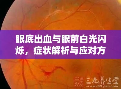 眼底出血与眼前白光闪烁，症状解析与应对方法
