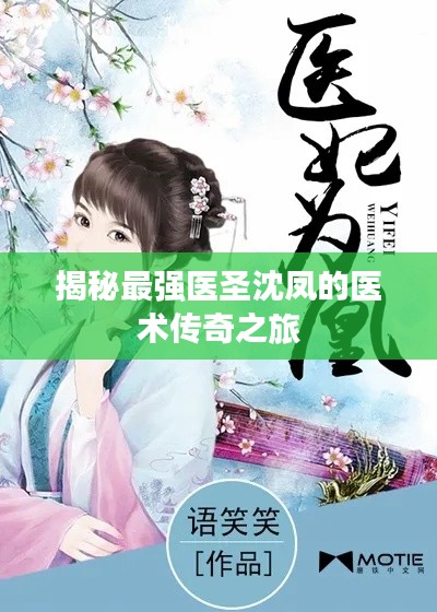 揭秘最强医圣沈凤的医术传奇之旅