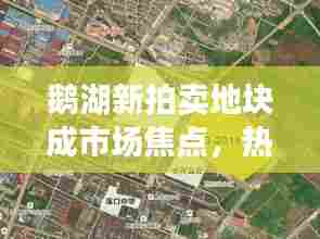 鹅湖新拍卖地块成市场焦点，热议不断！