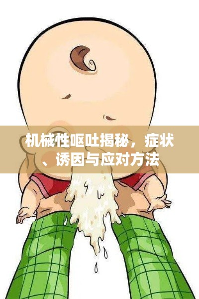 机械性呕吐揭秘,症状、诱因与应对方法