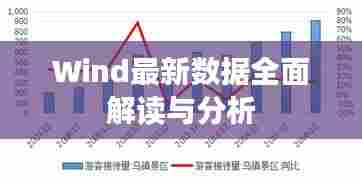 Wind最新数据全面解读与分析