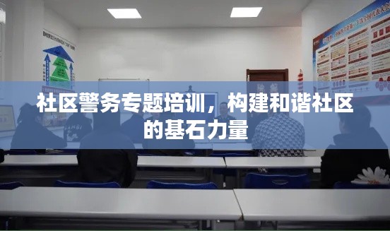 社区警务专题培训，构建和谐社区的基石力量