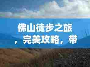 佛山徒步之旅,完美攻略,带你走遍美景!