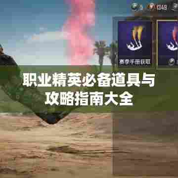 职业精英必备道具与攻略指南大全