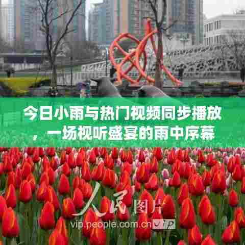 今日小雨与热门视频同步播放,一场视听盛宴的雨中序幕