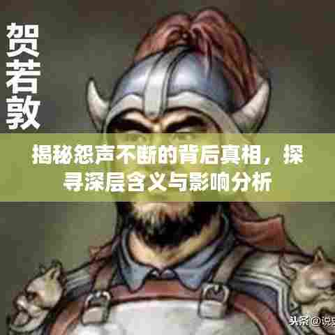 揭秘怨声不断的背后真相，探寻深层含义与影响分析