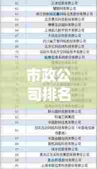 市政公司排名榜揭晓，行业领军者的秘密大揭秘！