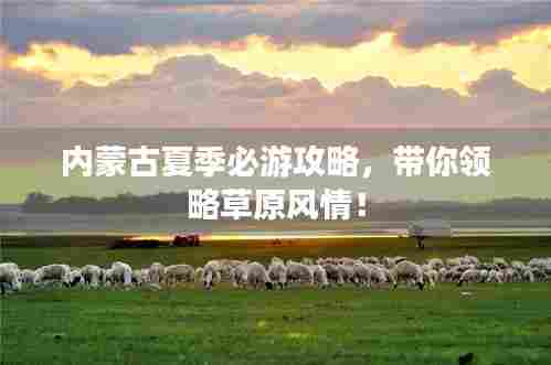 内蒙古夏季必游攻略,带你领略草原风情!